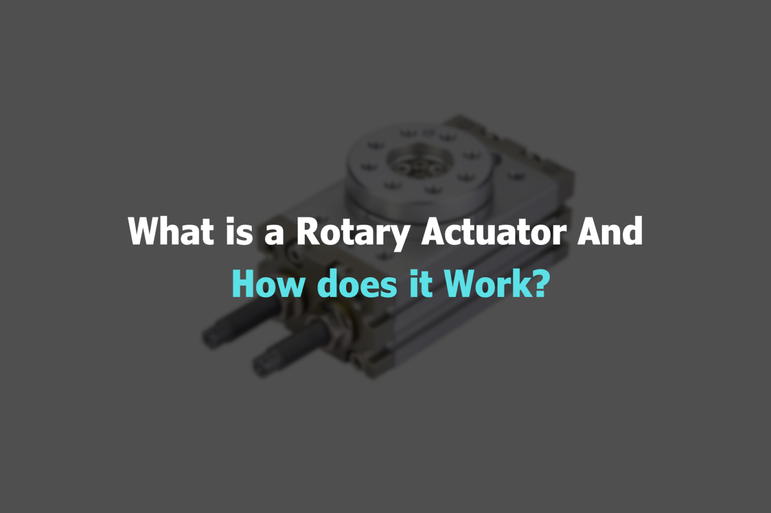 Rotary Actuator