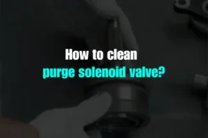 How to Clean Purge Solenoid Valve