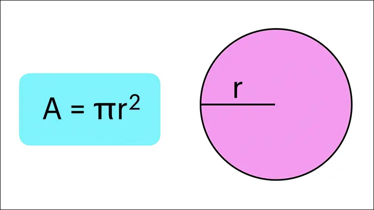 Calculate the Area (A)